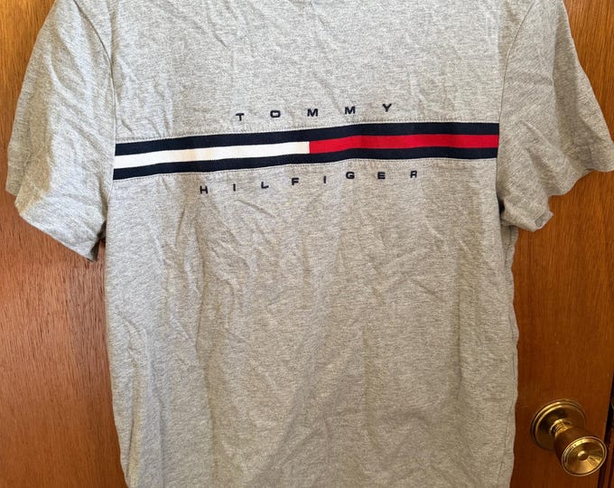Vintage Tommy Hilfiger T Shirt, Size Small, Gray
