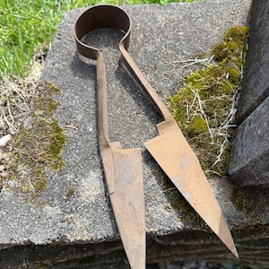 May include: Vintage, rusty metal shears with a circular handle and long, pointed blades. The blades are open, revealing their sharp edges. The shears rest on a weathered stone surface, suggesting outdoor use for gardening or similar tasks.