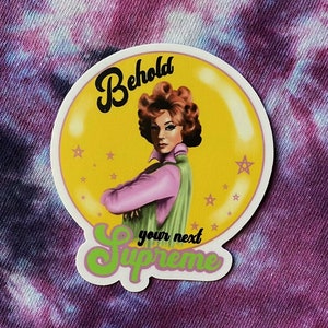 Vinyl Art Sticker ENDORA BEWITCHED American Horror Story Coven Witchy Stickers Retro Kitsch 60&#39;s Laptop Water Bottle
