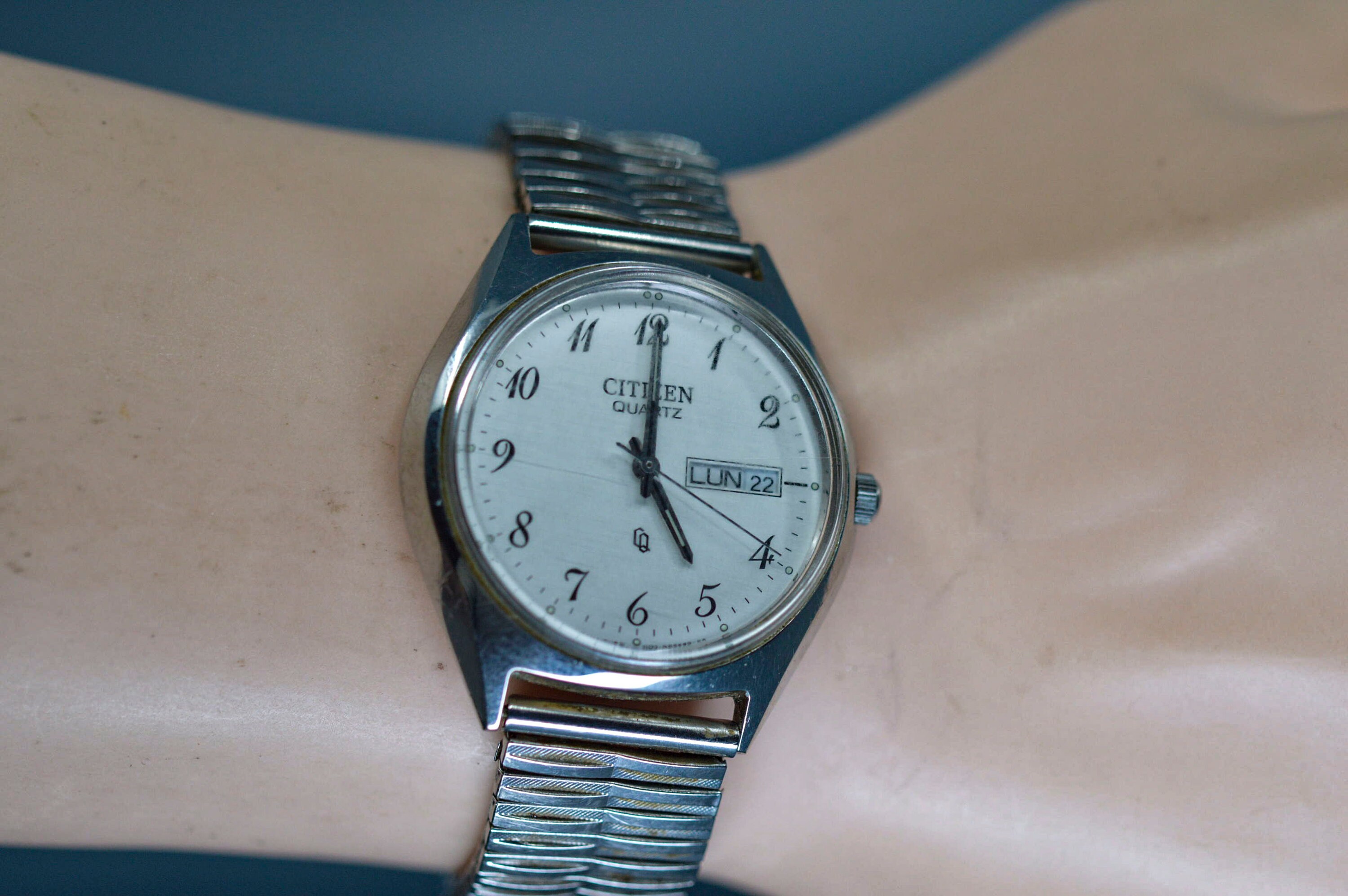 Citizen watch bands canada sale