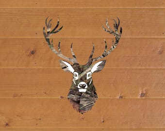 Camo Deer Head Glossy Sticker