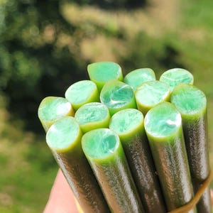 Puede incluir: Un manojo de varillas cilíndricas con exteriores texturizados de color marrón oscuro y extremos translúcidos de color verde menta brillante con remolinos. Las varillas se mantienen unidas por una banda elástica fina de color claro.