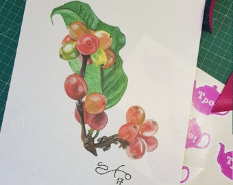 Stampa ad acquerello di frutta al caffè