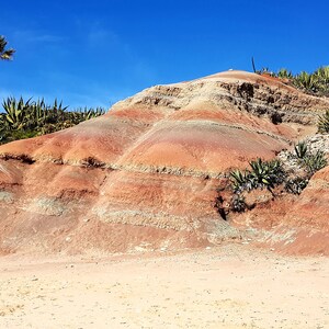 K&ouml;nnte beinhalten: Eine malerische Landschaft mit einer geschichteten Felsformation in Rot-, Braun- und Beiget&ouml;nen. Palmen und gr&uuml;ne Pflanzen sind vor einem klaren blauen Himmel zu sehen, was eine w&uuml;sten&auml;hnliche Umgebung schafft.
