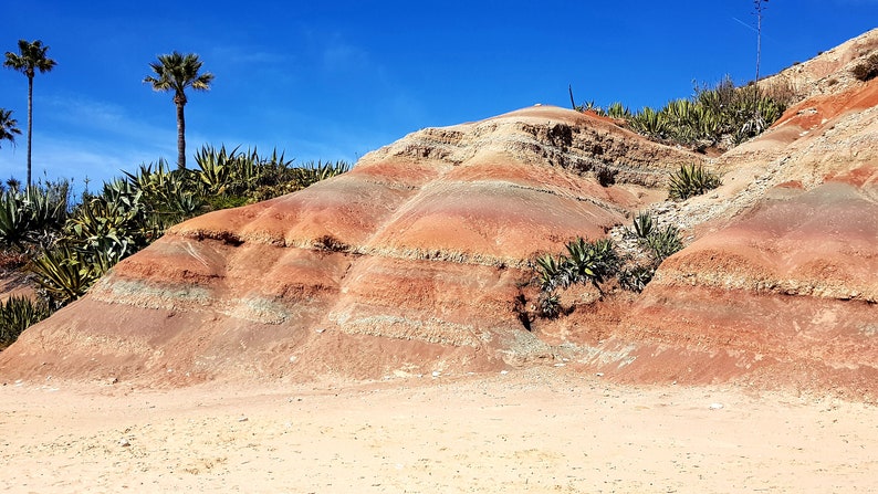 K&ouml;nnte beinhalten: Eine malerische Landschaft mit einer geschichteten Felsformation in Rot-, Braun- und Beiget&ouml;nen. Palmen und gr&uuml;ne Pflanzen sind vor einem klaren blauen Himmel zu sehen, was eine w&uuml;sten&auml;hnliche Umgebung schafft.
