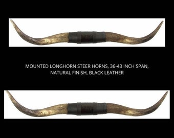 black leather 44-54 inch span Mounted Longhorn Steer Horns natural finish