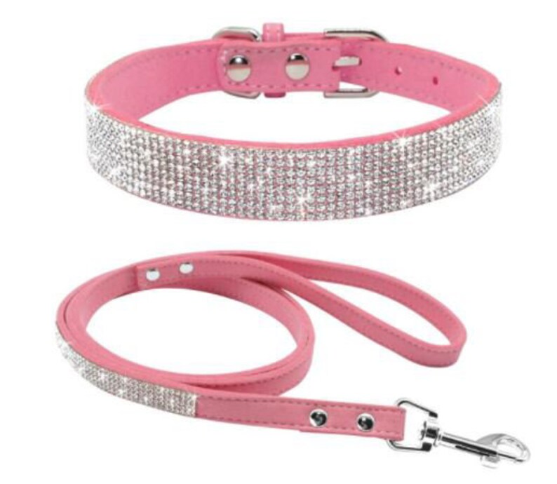 Personalized Dog Collar Bling Dog Collar Bling Leash Bling Etsy