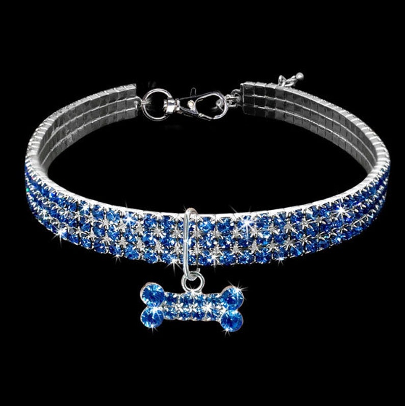 Personalized Dog Collarbling Dog Collar Stainless Steel Dog Etsy