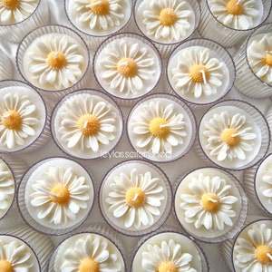Candele margherita profumate in contenitore di plastica | Margheritacandela | Margherita