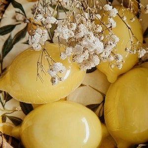 Zitronemotto Seifen | Zitronenseife | Lemon Seife | Gatsgeschenke Zitronenseifen | Hochzeit