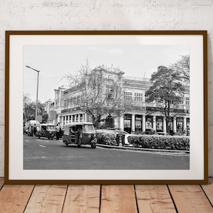 Delfin-Plakette, Straßenfotografie (digitaler Download)