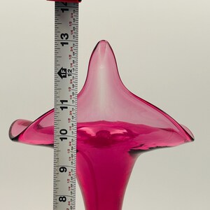 Puede incluir: Un jarr&oacute;n de vidrio rosa oscuro con una abertura ancha y acampanada y una base estrecha. El jarr&oacute;n mide aproximadamente 28 cm de alto.