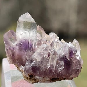 Amethyst from Amatitlan, Guerrero, Mexico