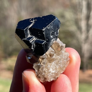 Schorl (Black Tourmaline) with Smoky Quartz from Erongo, Namibia