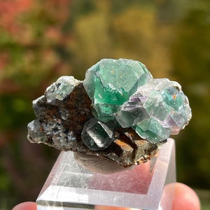 Fluorite on Matrix from Erongo, Namibia