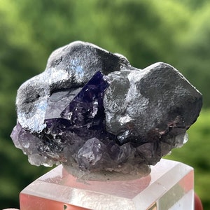 Galena with Fluorite from the Purple Rain Pocket of the Lady Annabella Mine in Weardale, England