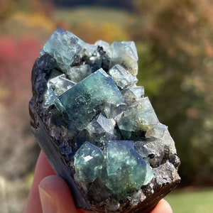 Fluorite from the Hidden Forest Pocket of the Diana Maria Mine in Weardale, England