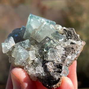Fluorite on Matrix from the Green Toad Pocket of the Lady Annabella Mine in Weardale, England