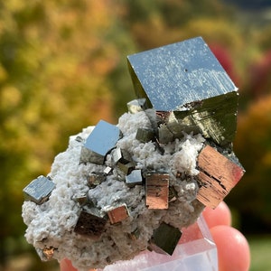 Pyrite from the Huanzala Mine in Peru