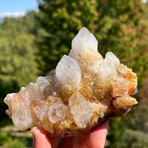 Cactus Quartz from South Africa
