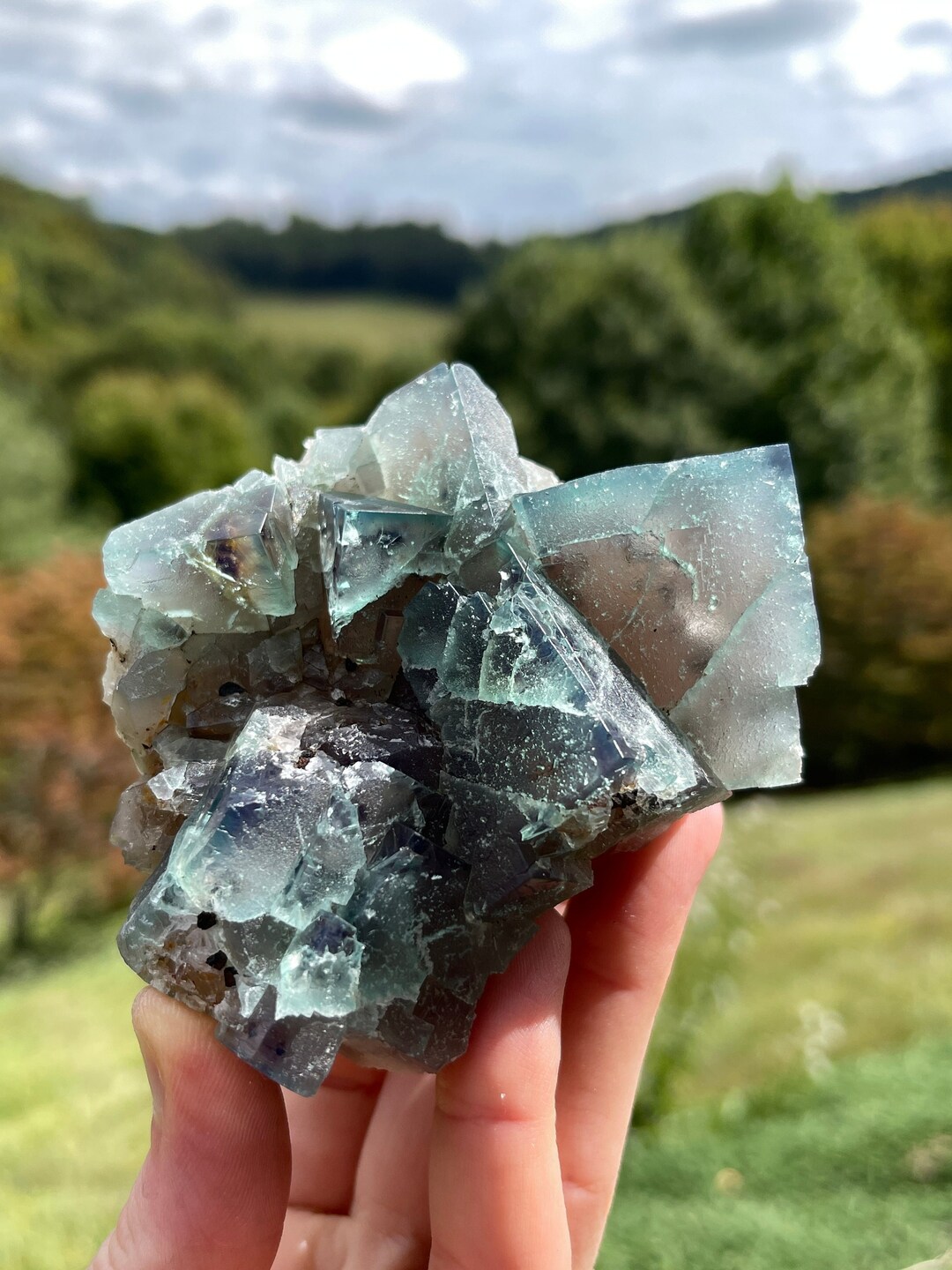 Fluorite From the Green Toad Pocket of the Lady Annabella Mine Etsy