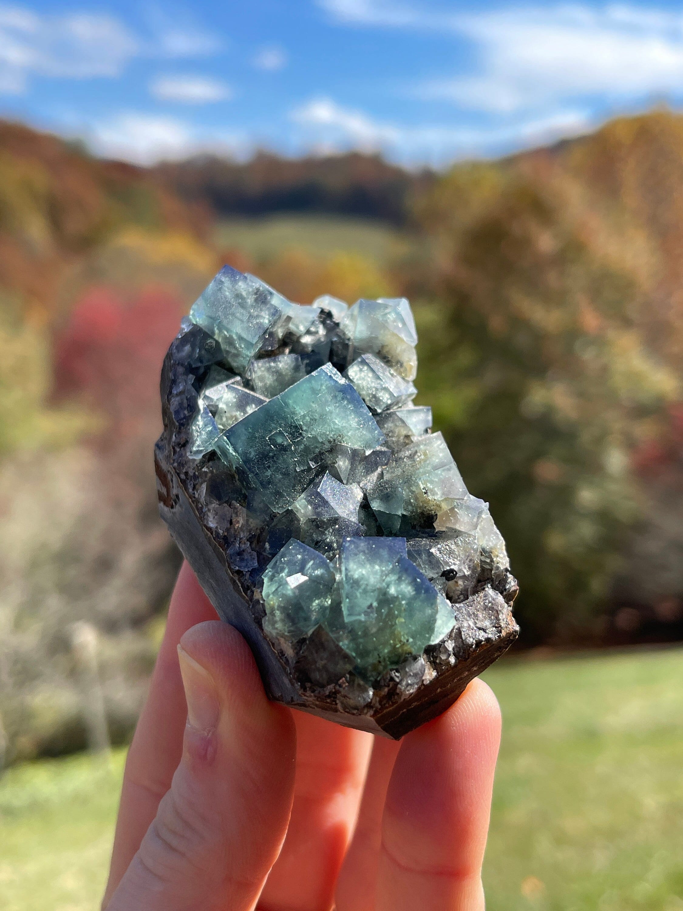 Fluorite From the Hidden Forest Pocket of the Diana Maria