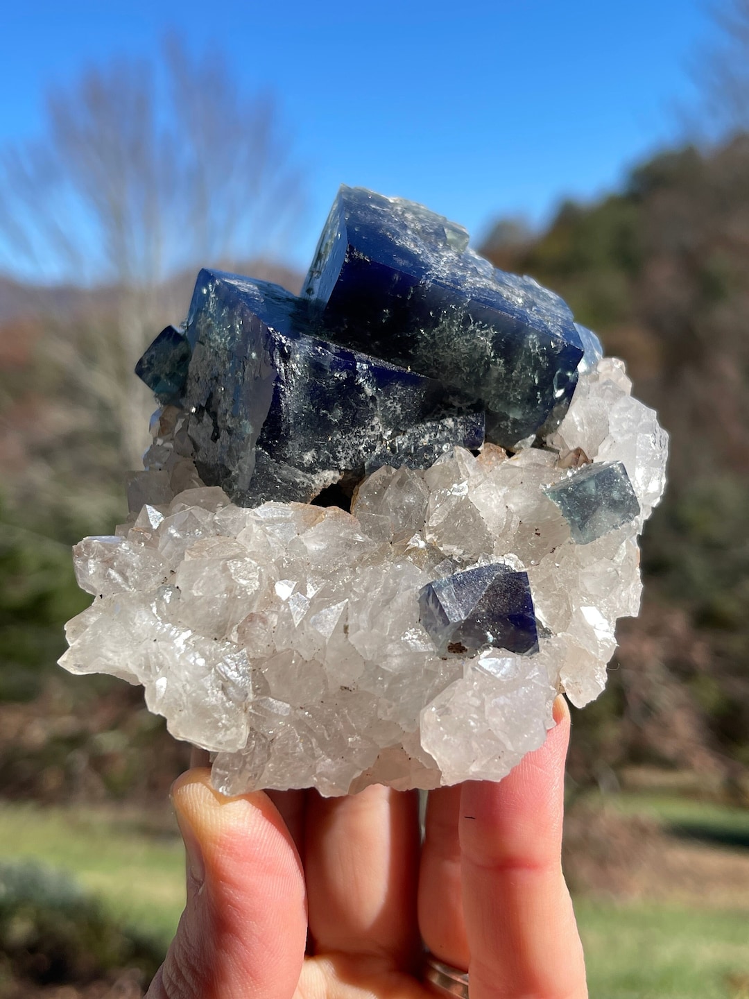Fluorite and Quartz From the Milky Way Pocket of the Diana Maria