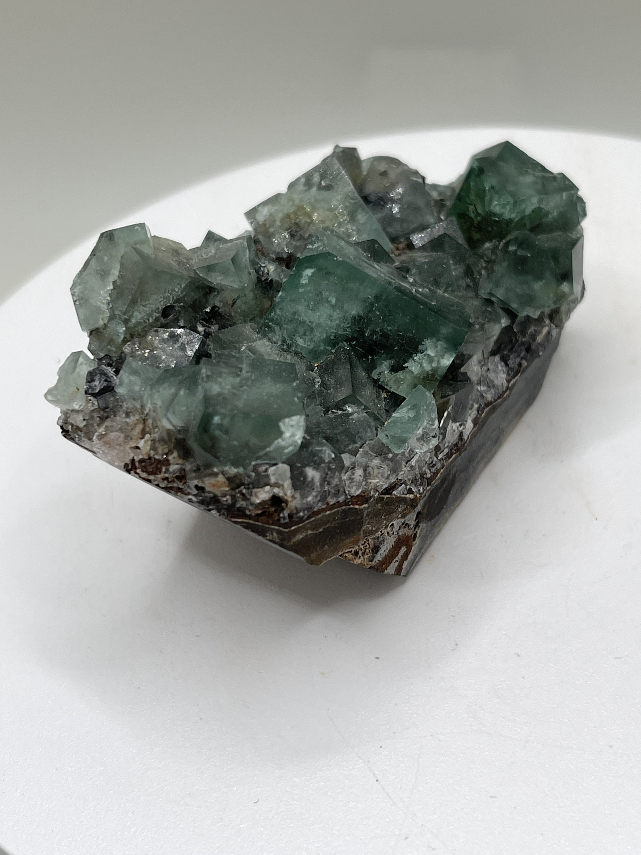 Fluorite From the Hidden Forest Pocket of the Diana Maria