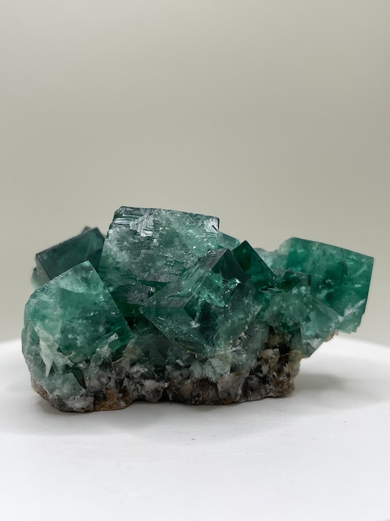 Fluorite From the 50 Year Pocket of the Rogerley Mine in