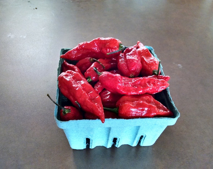 6 FRESH PICKED Red Ghost Peppers hydroponically Grown Etsy
