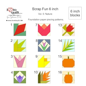 May include: A page of foundation paper piecing patterns for quilting. The patterns are 6-inch blocks, featuring nature-themed designs. The blocks include images of flowers, leaves, and pumpkins. The text "Scrap Fun 6 inch" and "Vol. 5: Nature" are visible.