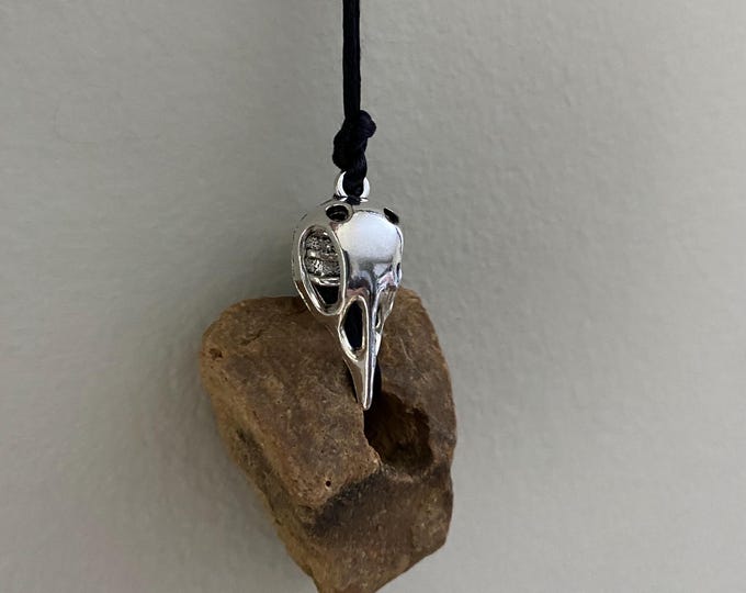 Hag Stone Raven Necklace: Protection Talisman - Etsy