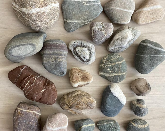 Pretty Real Rocks Set of Twenty-two (22) Wish Stones, Pretty Stones and Petrified Wood, 4 ...
