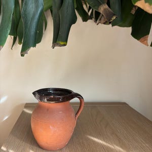 Könnte beinhalten: Ein rustikaler Krug in Terrakottafarbe mit einem dunkelbraunen Rand und Griff. Der Krug hat einen abgerundeten Körper und einen Ausguss zum Ausgießen. Das Bild ist bei natürlichem Licht aufgenommen, mit grünen Blättern im Hintergrund, was eine natürliche oder ländliche Ästhetik suggeriert.