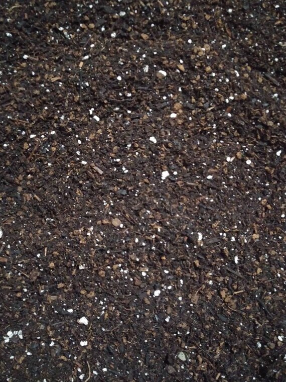 8Quart Organic Potting Soil Worm Castings Bat Guano Fish Etsy