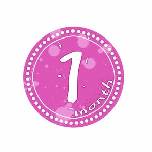 Pegatinas mensuales para bebés - Pegatinas para 12 meses - Pegatinas mensuales para acuarela - Pegatinas mensuales