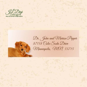 Return address label, Personalized address label, Address labels, Return label, Dog. Animal, Dachshund