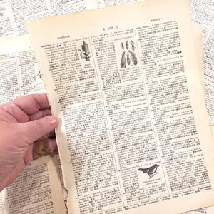 Pages de dictionnaire illustré chinois, 1965, documents éphémères vintage pour la journalisation indésirable, papier de scrapbooking, fournitures d'art de collage, langue étrangère