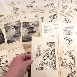 Pages de livres pour enfants vintage, illustrations de Thornton Burgess, documents éphémères vintage, journaux indésirables, fournitures artistiques pour collage, scrapbooking, animaux