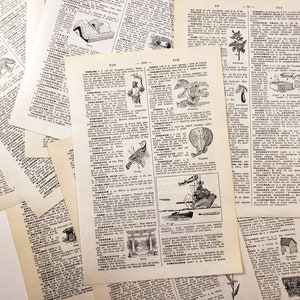 Pages de dictionnaire illustré FRANÇAIS - années 1950, éphémères français vintage pour la journalisation indésirable, papier de scrapbooking, fourniture d'art de collage, France
