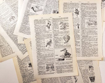 フランス語の図解辞書のページ - 1950年代、ジャンクジャーナル用のヴィンテージのフランス語のエフェメラ、スクラップブッキング用紙、コラージュアート用品、フランス