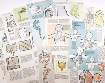 Medical Book Pages, Anatomy, 1970s Ephemera, vintage paper, junk journal, scrapbooking paper, collage art supplies, book pages, smash book
