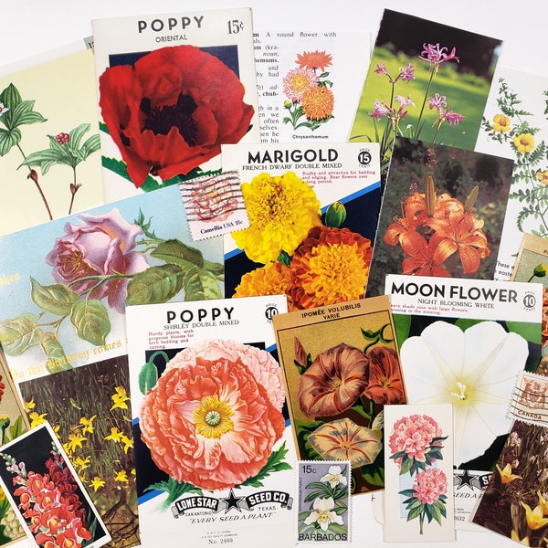FLOWERS Ephemera Pack - Vintage Paper Ephemera Pack - Botanical, 25 pieces, Ephemera for junk journals, scrapbooking paper, collage art