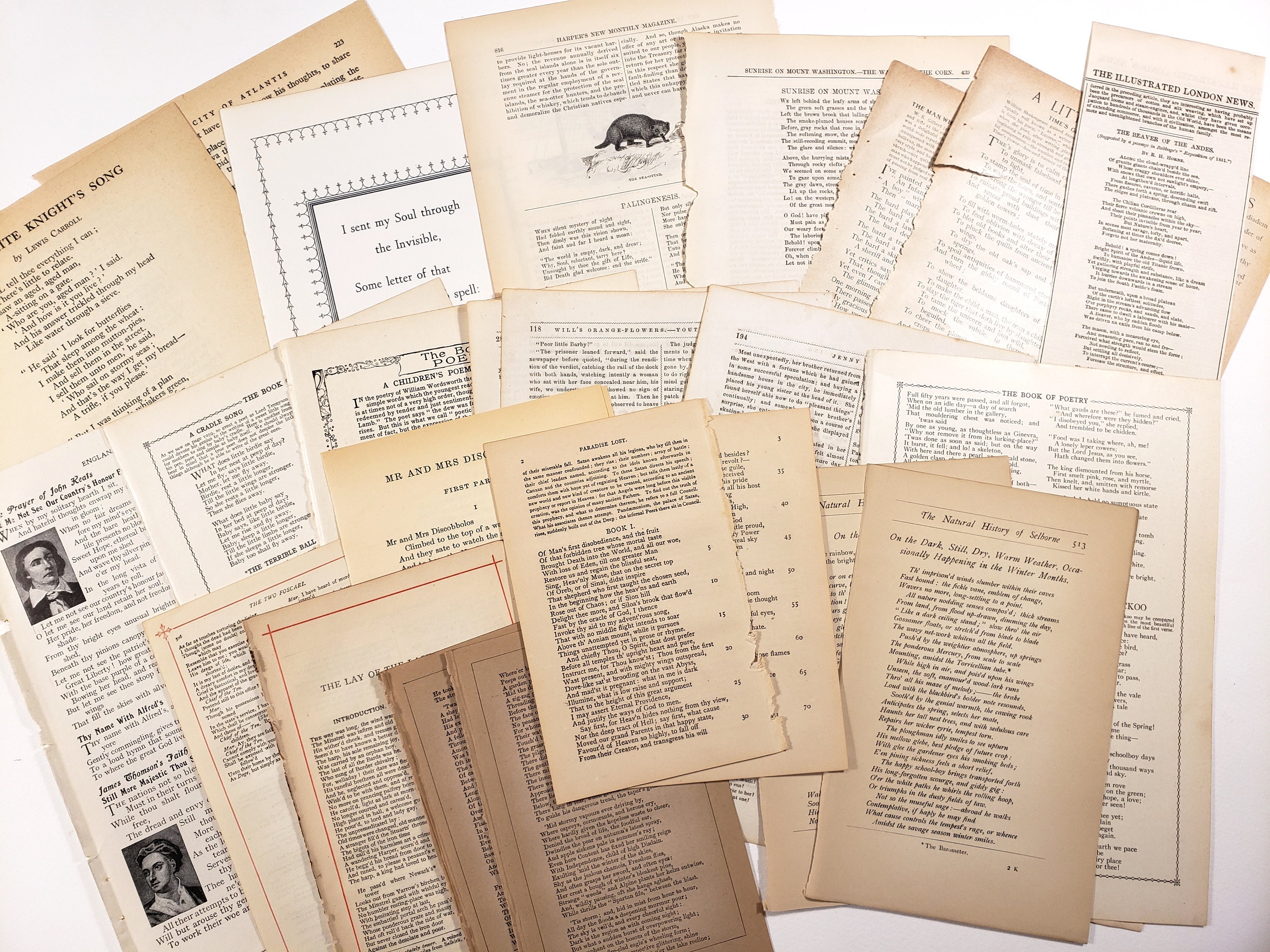 Antique Poetry Pages - Etsy