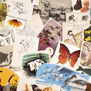 Mini paquet d'éphémères NATURE - éphémères en papier vintage - oiseaux, botanique, 25 pièces, éphémères pour journaux indésirables, papier de scrapbooking, art du collage