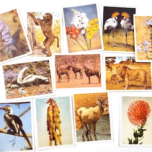 Cartes à cigarettes, thème Nature, 12 cartes anciennes, éphémères en papier vintage, journal indésirable, art de collage, papier de scrapbooking, oiseaux, animaux de plantes