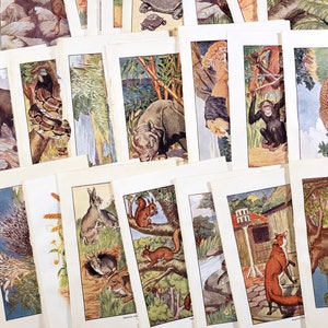Illustrations d'animaux, gravures anciennes, papier de livre vintage, journaux indésirables, papier de scrapbooking, art du collage, art éphémère, histoire naturelle