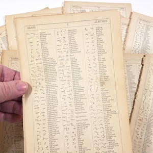 May include: Several aged book pages displaying handwritten shorthand notes. The pages are yellowed with age and the text is in black ink. One page shows the word "AGAPE". Other pages are stacked in the background, showing more shorthand.