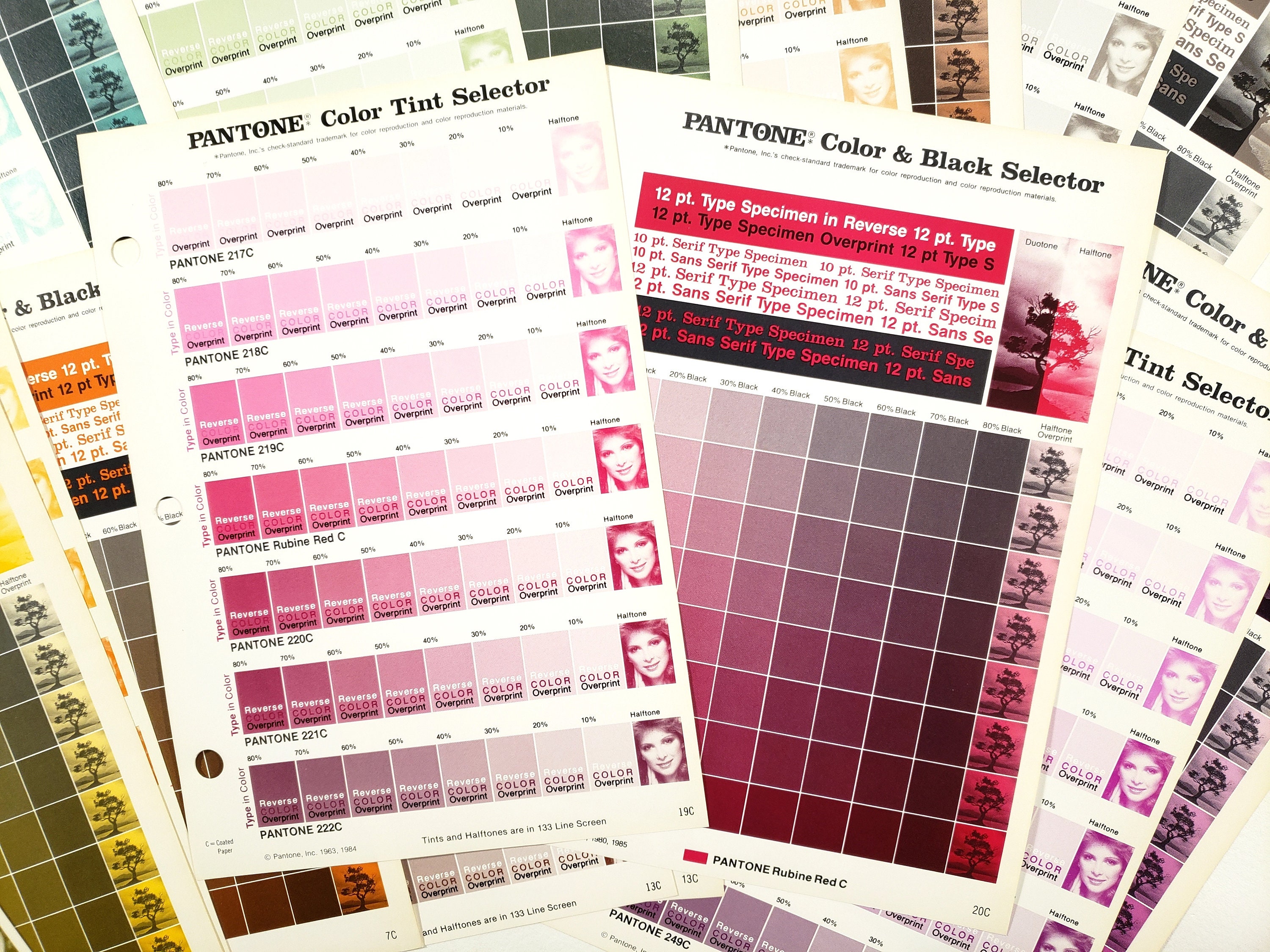 PANTONE Color Guide Pages Tint & Shade Selector 1984 - Etsy Canada