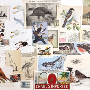 Mini pack d'éphémères OISEAUX - éphémères en papier vintage - 25 pièces, éphémères pour journaux indésirables, papier de scrapbooking, journal nature, art collage